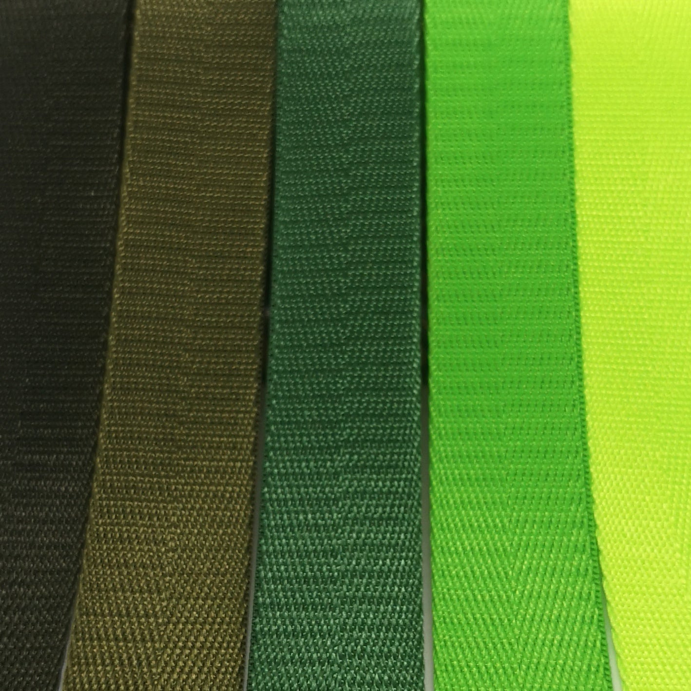 1" Wide Webbing - Solid Color - PALM GREEN